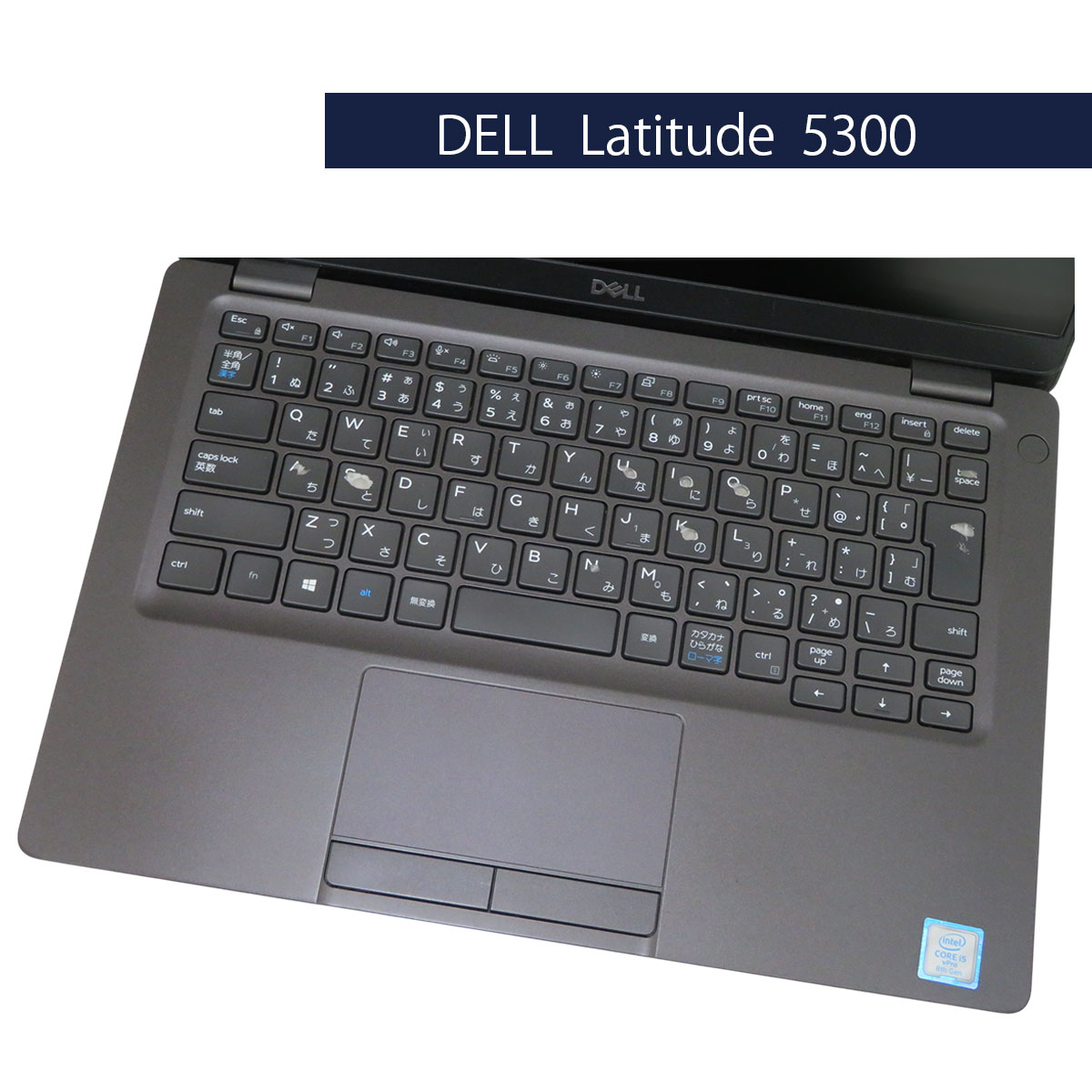 DELL Latitude 5300 Core i5 8365U 8GB SSD 256GB (Win11Pro)
